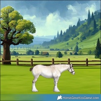 Horse Color:White Spotted Liver Red Dun Pearl Onyx Sabino 