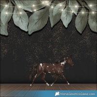 Horse Color:White Spotted Liver Chestnut 
