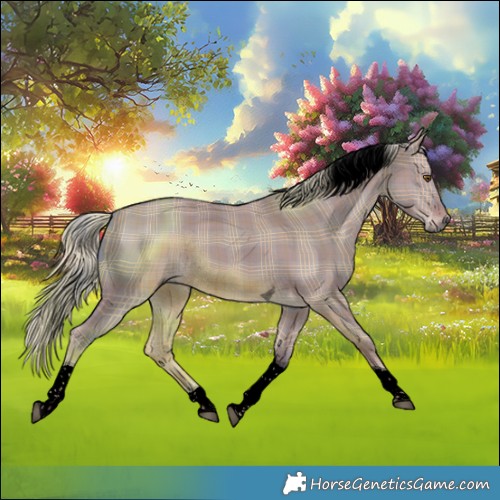 Horse Color:Void Watercolor Plaid  Liver Red Dun Tobiano Rabicano 
