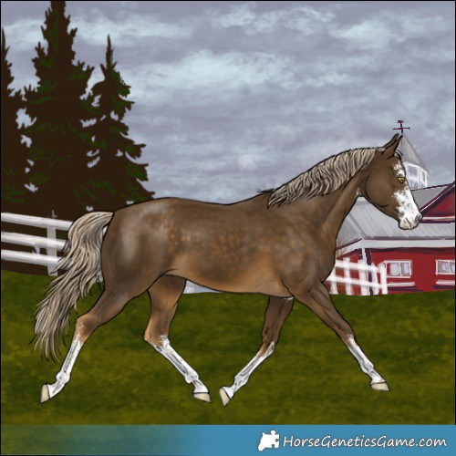 Horse Color:White Spotted Chocolate Palomino Mushroom 