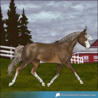 Horse Color:White Spotted Chocolate Palomino Mushroom