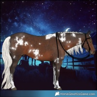 Horse Color:White Spotted Liver Chestnut Mushroom Tobiano 