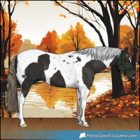 Horse Color:Liver Chestnut Tobiano 