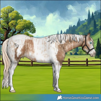 Horse Color:Chocolate Palomino Pearl Tobiano Frame and Gray Chocolate Palomino Pearl Tobiano Frame