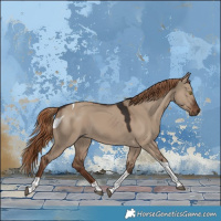 Horse Color:Liver Red Dun Tobiano 