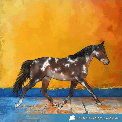 Horse Color:White Spotted Liver Chestnut 