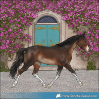 Horse Color:White Spotted Liver Chestnut 