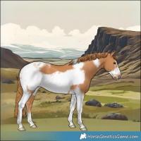 Horse Color:Chestnut Tobiano Frame