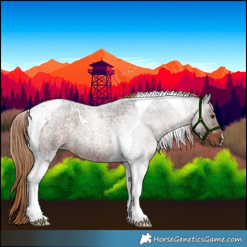 Horse Color:Liver Red Roan Tobiano 