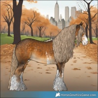 Horse Color:White Spotted Chocolate Palomino Tobiano Rabicano