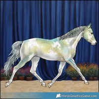 Horse Color:Watercolor White Spotted Liver Red Onyx Brindle 