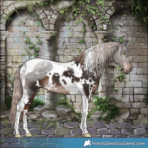 Horse Color:White Spotted Liver Chestnut Tobiano 