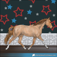 Horse Color:Red Roan Tobiano 