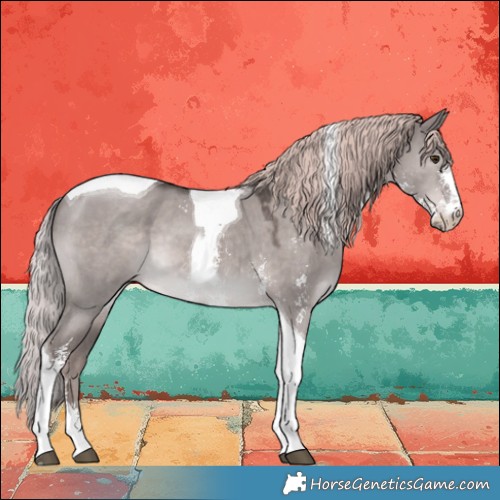 Horse Color:Platinum Liver Red Dun Sabino Tobiano 