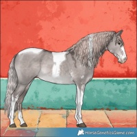 Horse Color:Platinum Liver Red Dun Sabino Tobiano