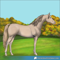 Horse Color:Perlino Sabino