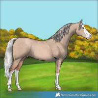 Horse Color:Silver Sable Champagne Dun Sabino Splash 