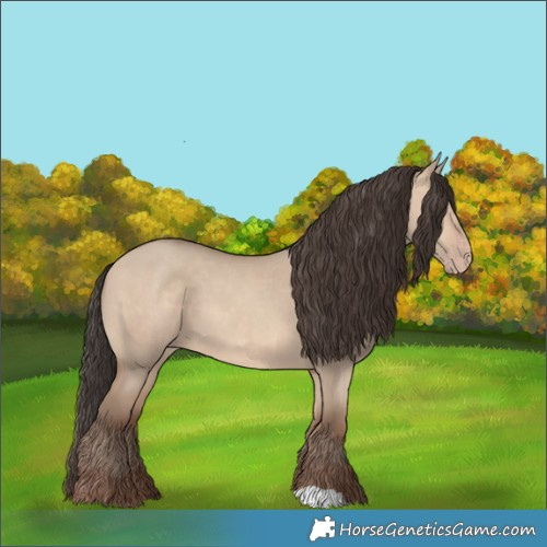 Horse Color:Amber Champagne Dun 