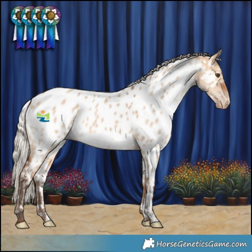 Horse Color:Silver Bay Dun Near Leopard 
