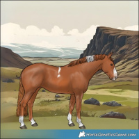Horse Color:Chestnut Tobiano Frame