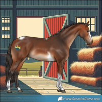 Horse Color:Bay Sabino Tobiano