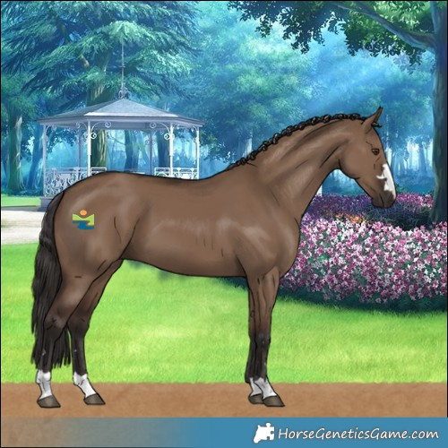 Horse Color:Liver Red Dun 
