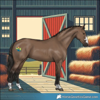 Horse Color:Liver Red Dun 