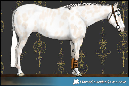 Horse Color:Silver Amber Cream Champagne Pearl Near Leopard 
