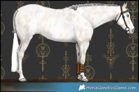 Horse Color:Silver Amber Cream Champagne Pearl Near Leopard 
