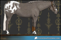 Horse Color:Silver Black Blanket 
