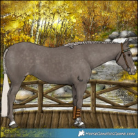 Horse Color:Silver Black Varnish 