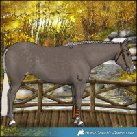 Horse Color:Silver Black Varnish