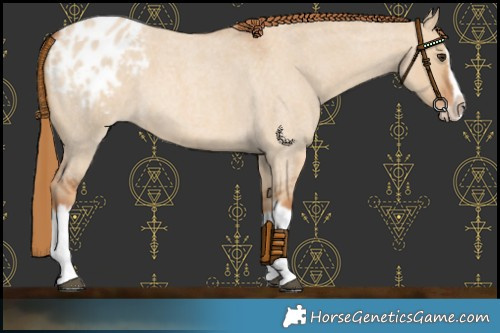 Horse Color:Red Dun Roan Splash Frame Blanket Rabicano 