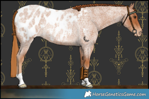 Horse Color:Red Roan Blanket Rabicano 