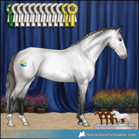 Horse Color:Gray Bay Roan Frame Varnish 
