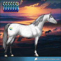 Horse Color:Gray Blue Roan Blanket