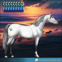 Horse Color:Gray Blue Roan Blanket 