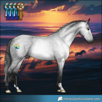 Horse Color:Gray Blue Roan Rabicano 