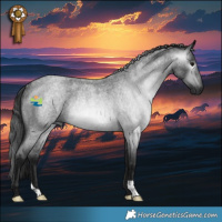 Horse Color:Gray Blue Roan Rabicano 