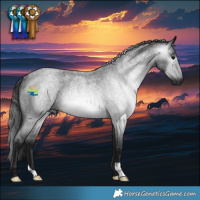 Horse Color:Gray Blue Roan Rabicano