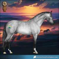 Horse Color:Gray Blue Roan Rabicano 