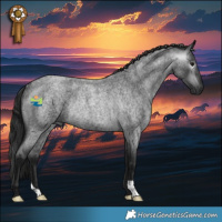 Horse Color:Gray Blue Roan Rabicano 