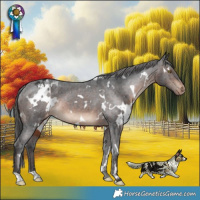 Horse Color:White Spotted Brown Blanket Rabicano