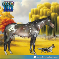 Horse Color:White Spotted Brown Varnish Rabicano 