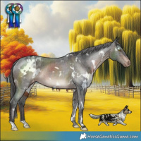 Horse Color:White Spotted Brown Varnish Rabicano 