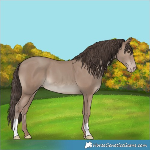 Horse Color:Classic Champagne