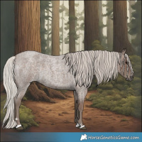 Horse Color:Silver Blue Roan