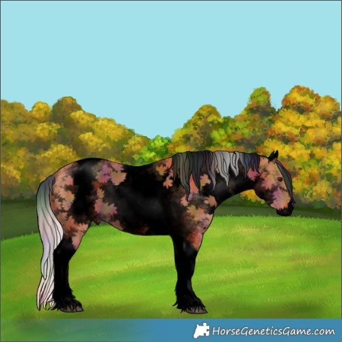 Horse Color:Void Nacre White Spotted Silver Bay Tobiano