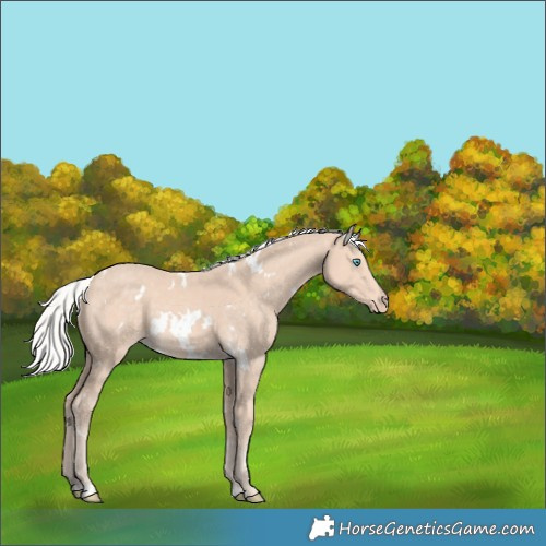 Horse Color:White Spotted Silver Perlino 