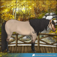Horse Color:Bay Dun Rabicano 